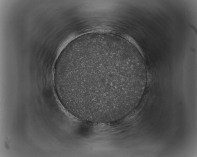 X0000101221099200807181546