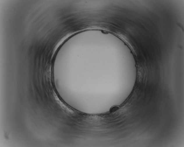X0000101221100200807181546
