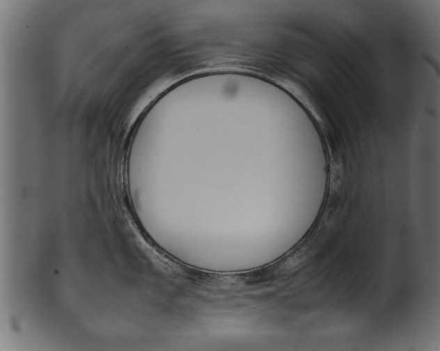 X0000101221101200807181546