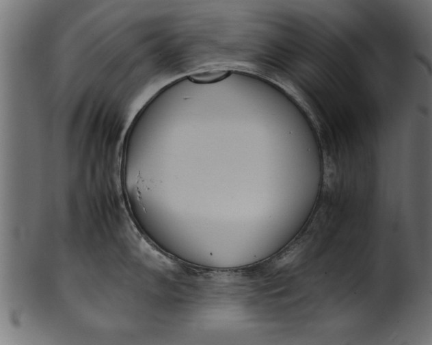 X0000101221102200807181546