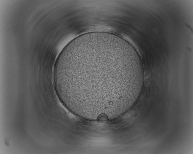 X0000101221103200807181546