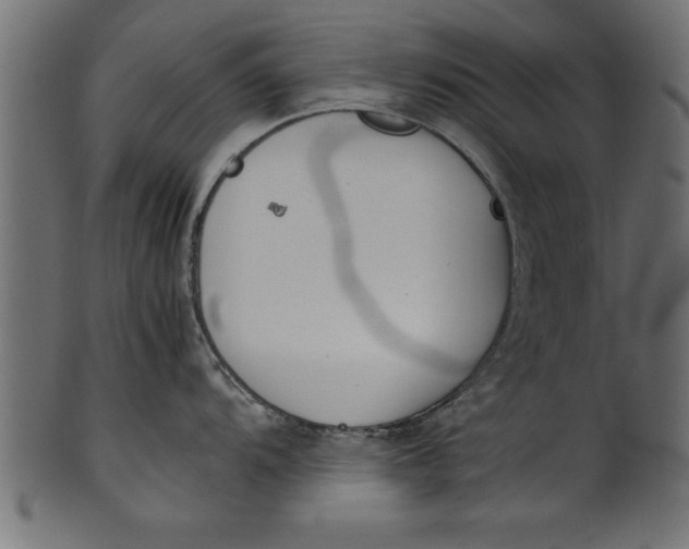 X0000101221104200807181546