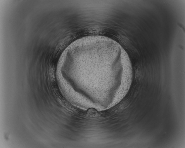 X0000101221106200807181545