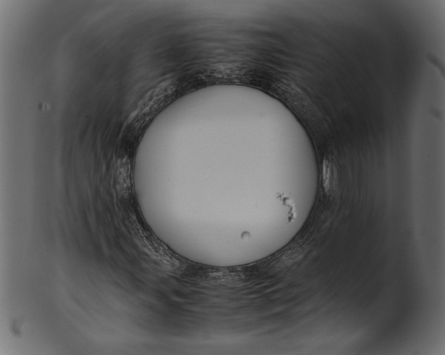 X0000101221107200807181545