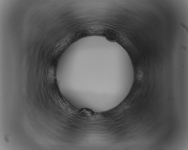 X0000101221108200807181545