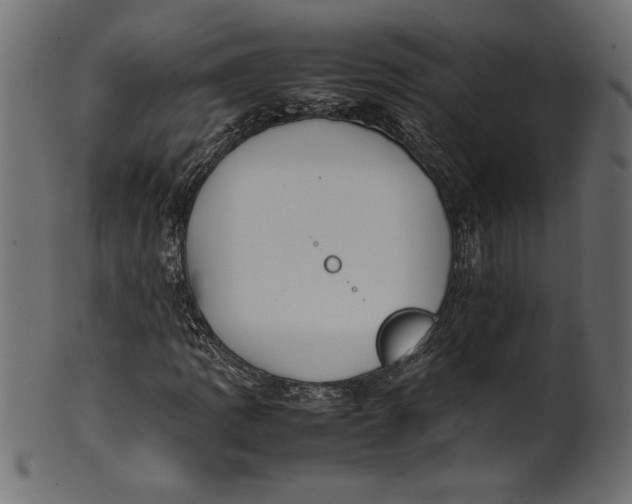 X0000101221109200807181545