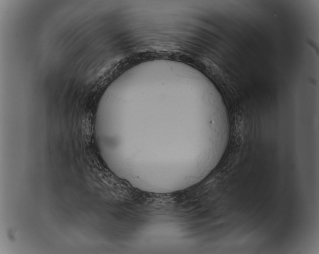 X0000101221110200807181545