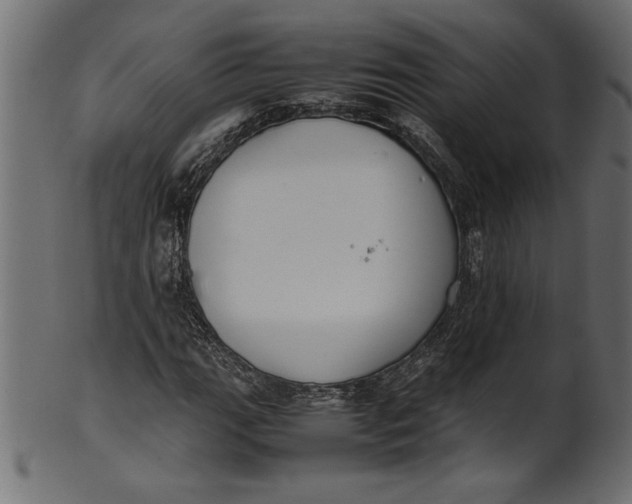 X0000101221111200807181545