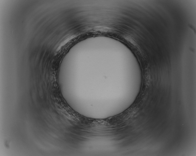 X0000101221112200807181545