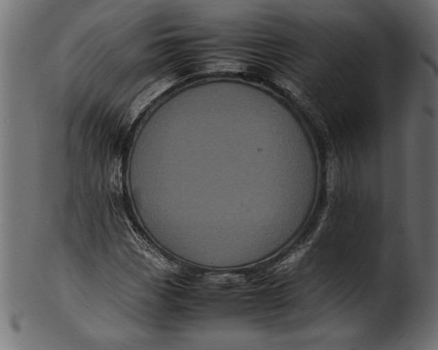X0000101221113200807181545
