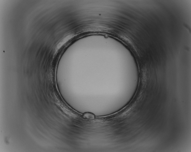 X0000101221114200807181545