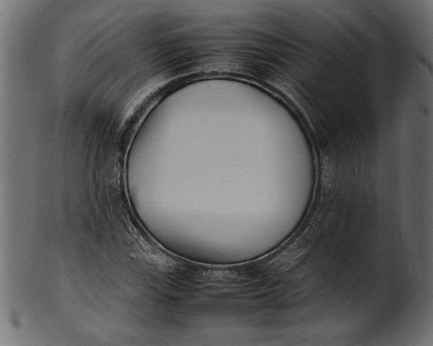 X0000101221115200807181545