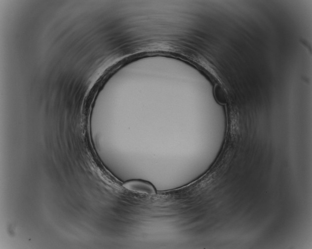 X0000101221116200807181545