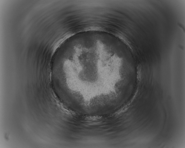 X0000101221117200807181545
