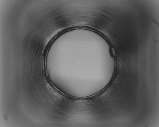 X0000101221118200807181545