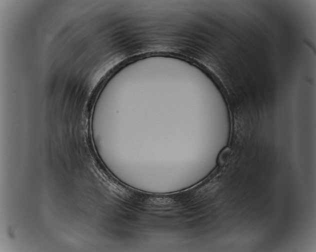 X0000101221119200807181545