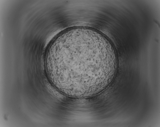 X0000101221120200807181545