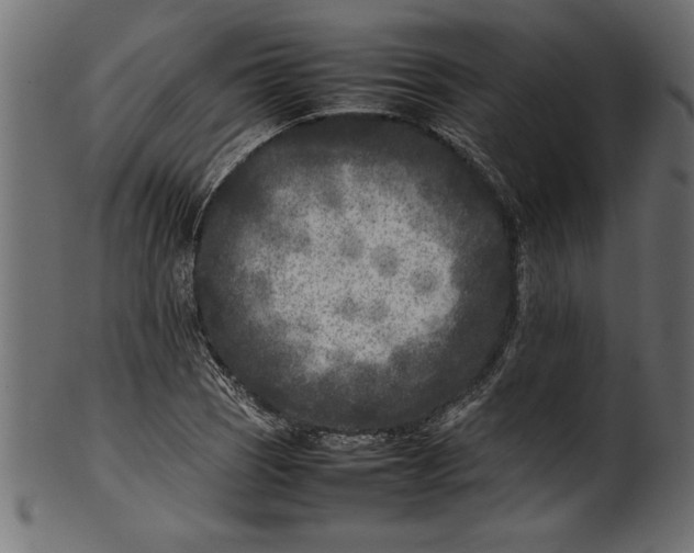 X0000101221121200807181546