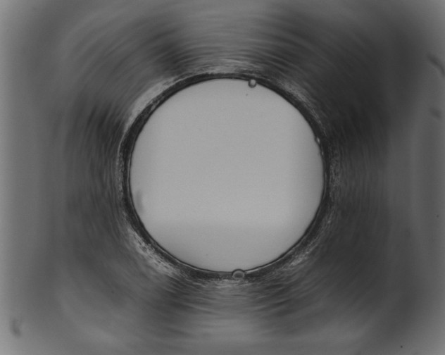 X0000101221122200807181546
