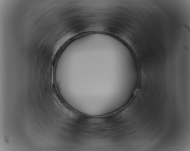 X0000101221123200807181546