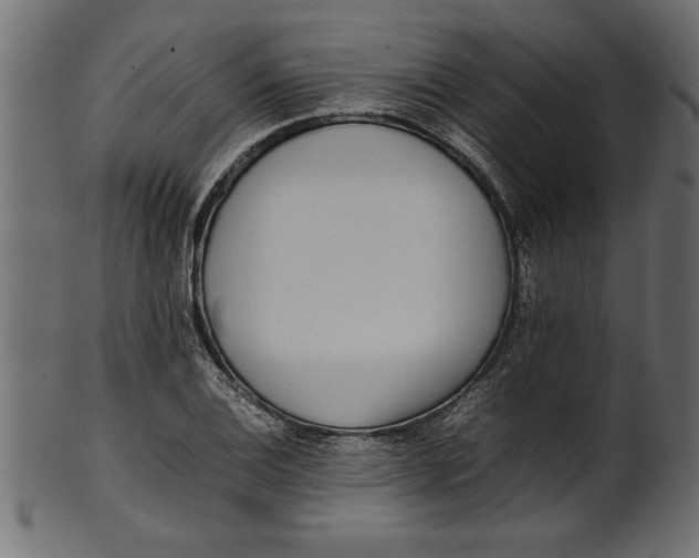 X0000101221124200807181546