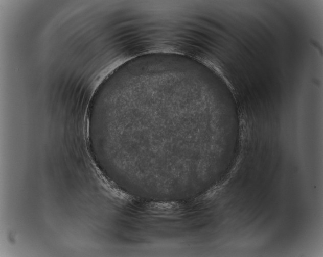 X0000101221125200807181546