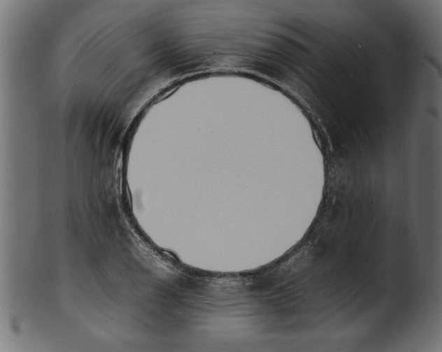 X0000101221126200807181546
