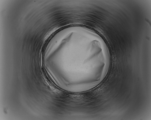 X0000101221127200807181546