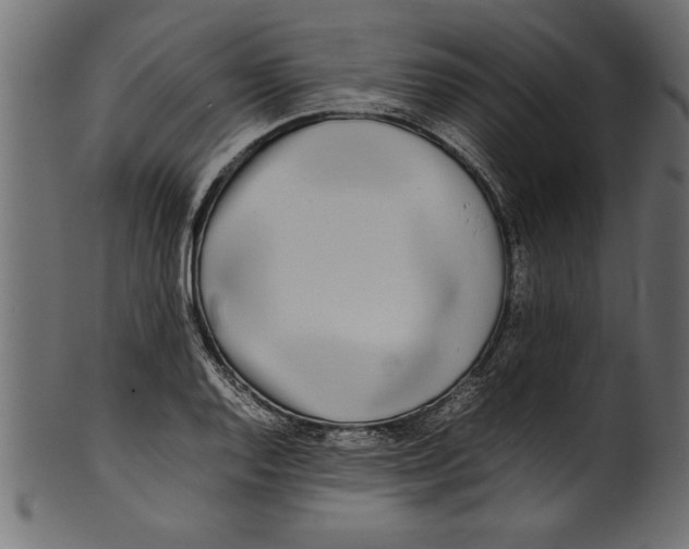 X0000101221128200807181546