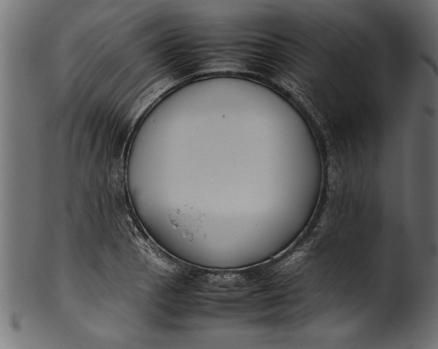 X0000101221129200807181546