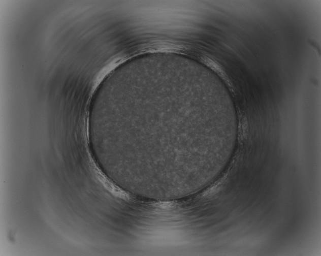 X0000101221130200807181546
