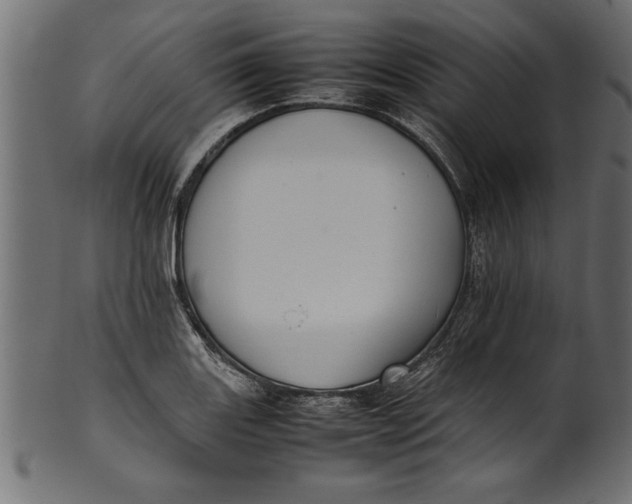 X0000101221131200807181546