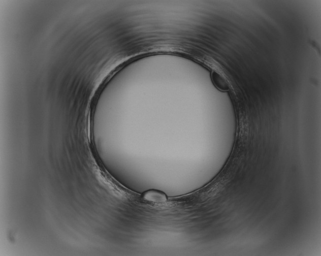 X0000101221132200807181546