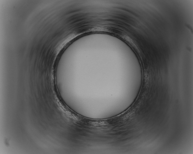 X0000101221133200807181546