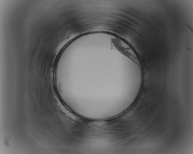 X0000101221134200807181546