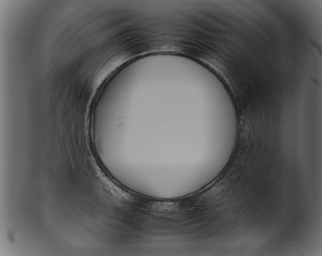 X0000101221135200807181546
