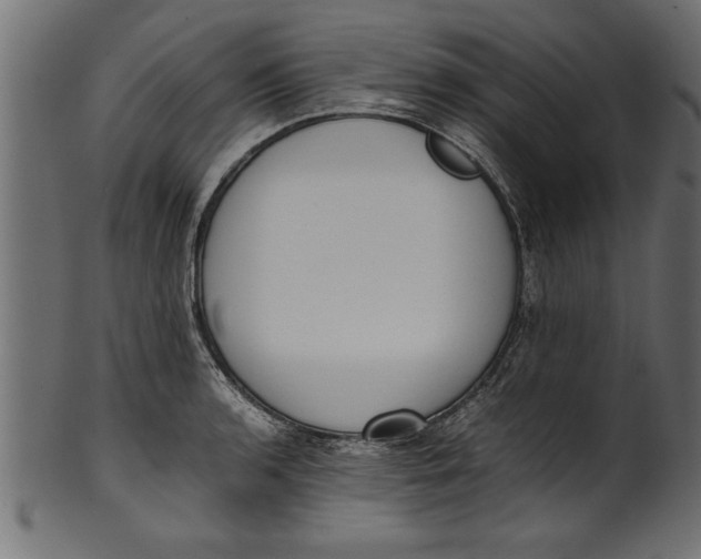 X0000101221136200807181546