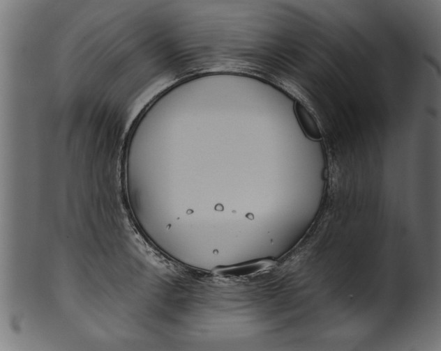 X0000101221138200807181546
