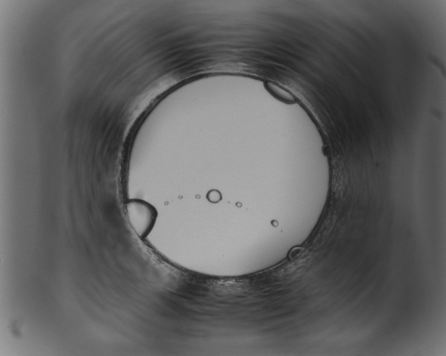 X0000101221139200807181546