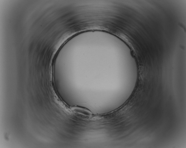 X0000101221140200807181546