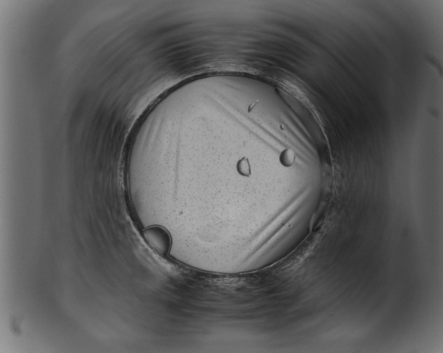X0000101221141200807181546
