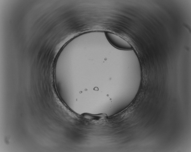 X0000101221142200807181546