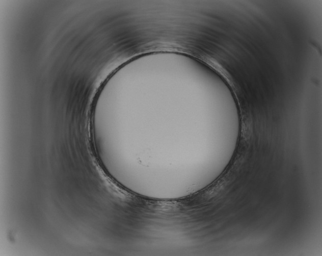 X0000101221144200807181546