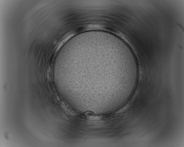 X0000101221145200807181546
