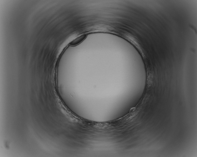 X0000101221146200807181546
