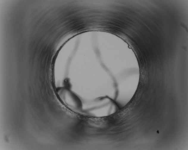 X0000101221147200807181546