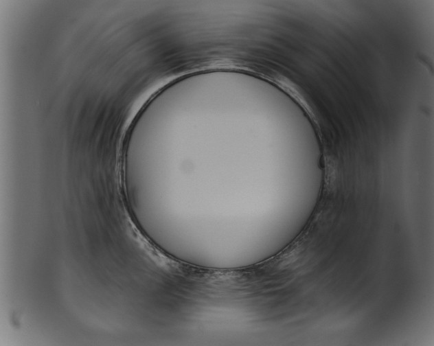 X0000101221148200807181546