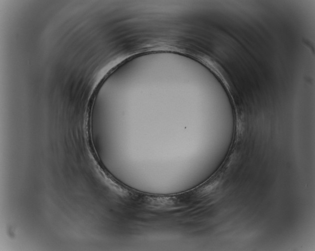 X0000101221149200807181546