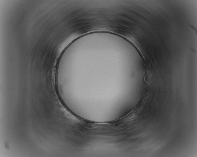 X0000101221151200807181546