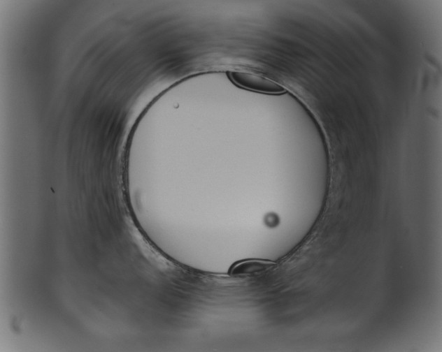 X0000101221152200807181546
